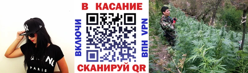Все наркотики Вельск COCAIN  Бошки Шишки  СК  ГАШИШ  Меф мяу мяу 