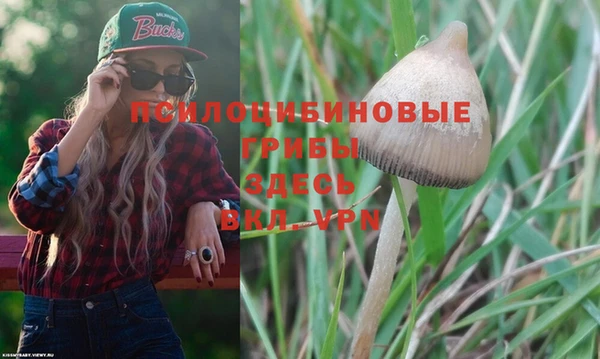 PSILOCYBIN Богородск