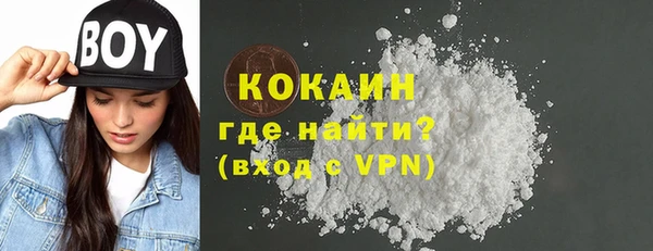 твердый Богородицк