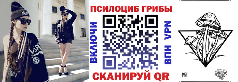 где купить   Вельск  darknet клад  Псилоцибиновые грибы Cubensis 